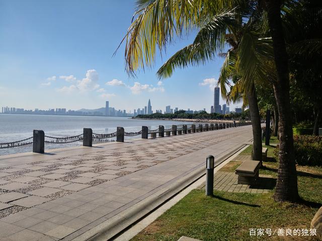 {百家樂}(深圳旅游景点大全介绍 古镇)