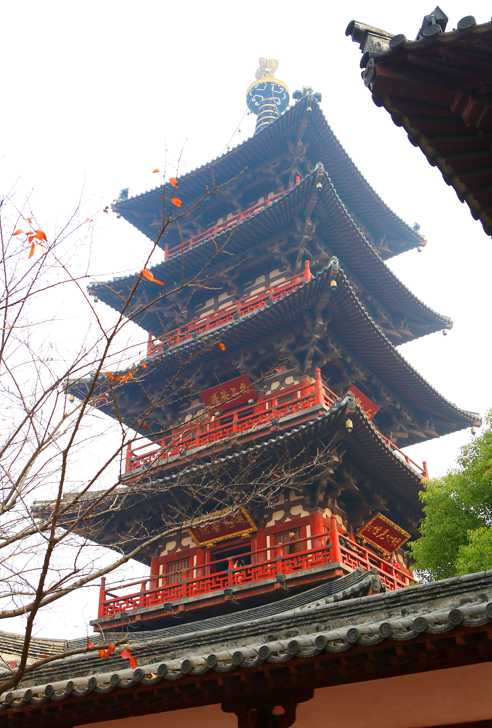 {壹葡娛樂}(寒山寺上一棵竹 不能做称有人用)